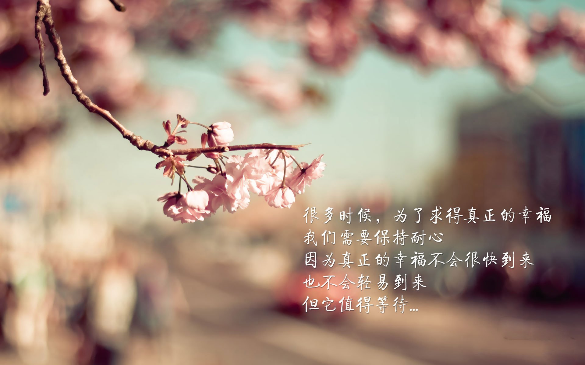 保利斯塔年轻阵容潜力巨大，保利斯丹