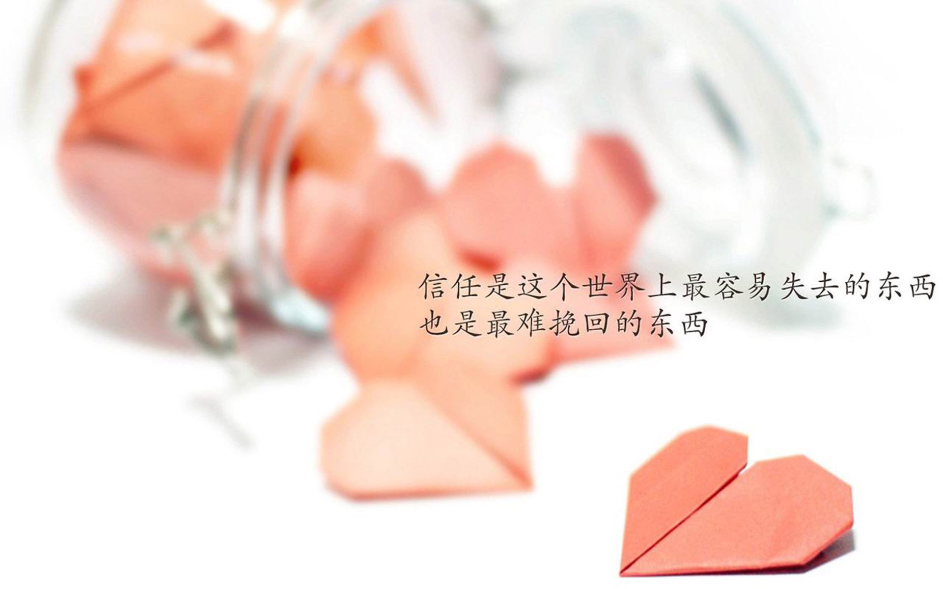 广东宏远战胜上海队，积分榜再添三分，广东宏远常规赛战绩